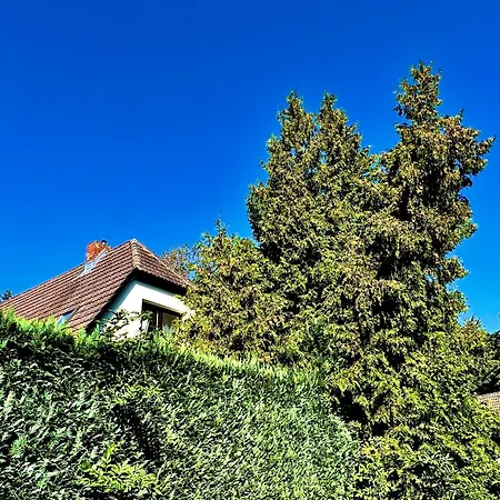 Apartment Haus Am Berg 2